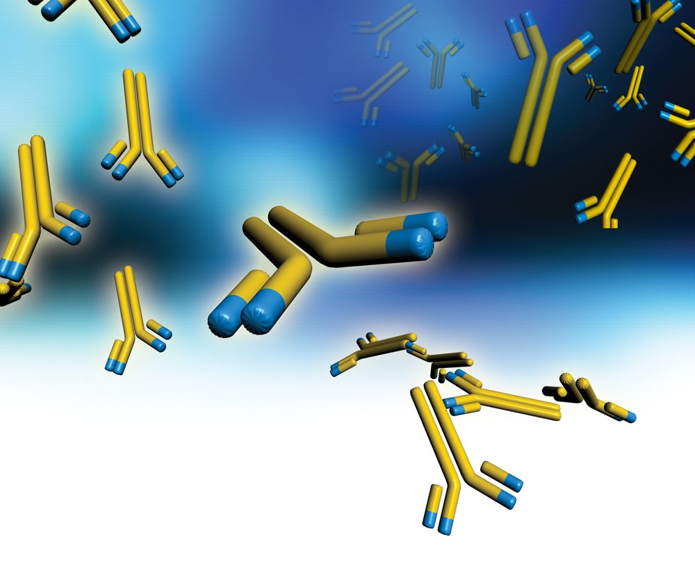 bourse en immunologie